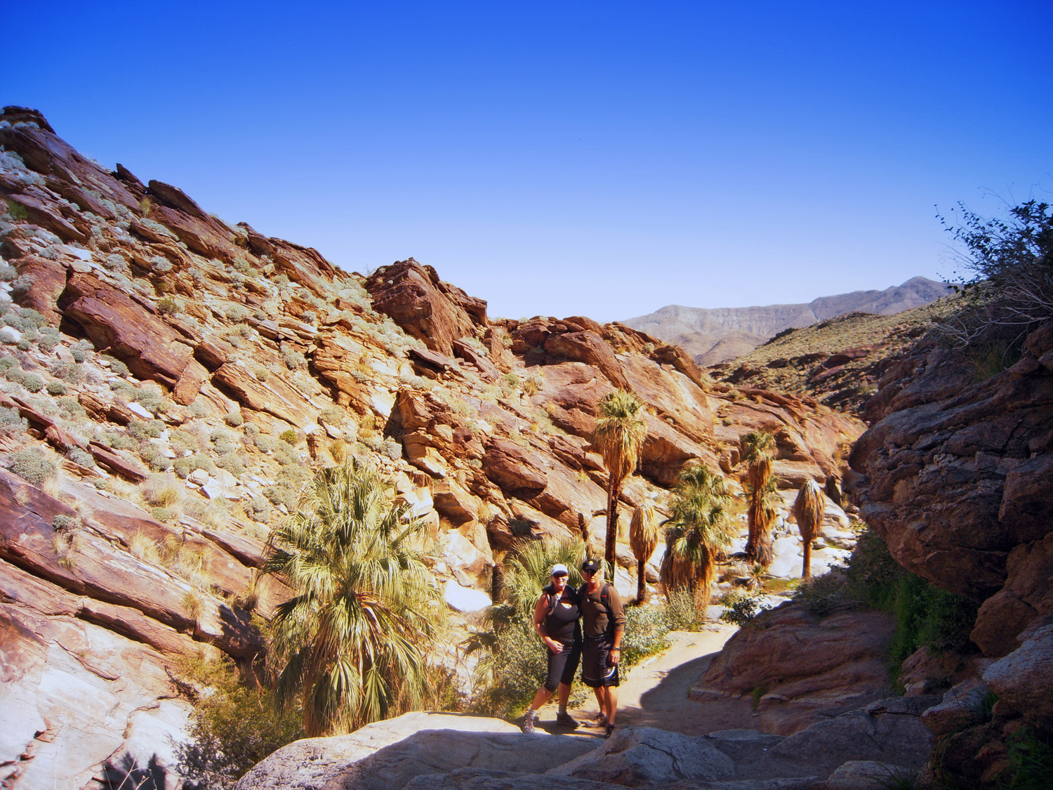 Murray Canyon03132010 (9)